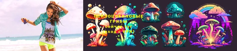 Псилоцибиновые грибы Magic Shrooms  Всеволожск 